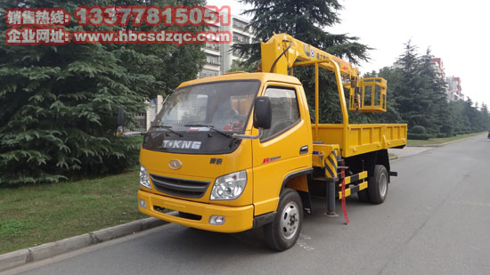 唐駿小型貨車(chē)帶吊