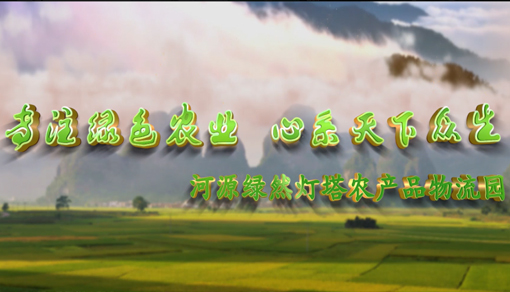 廣東省河源綠然燈塔農產(chǎn)品物流園宣傳視頻