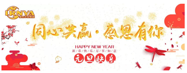 【元旦快樂(lè )】喜迎元旦，攜手共進(jìn)，2019愿我們再一起榮耀起航