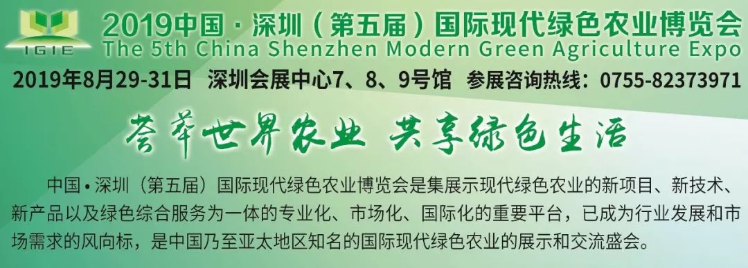 李克強：對標全面建成小康社會(huì )任務(wù)，扎實(shí)推進(jìn)脫貧攻堅和鄉村振興