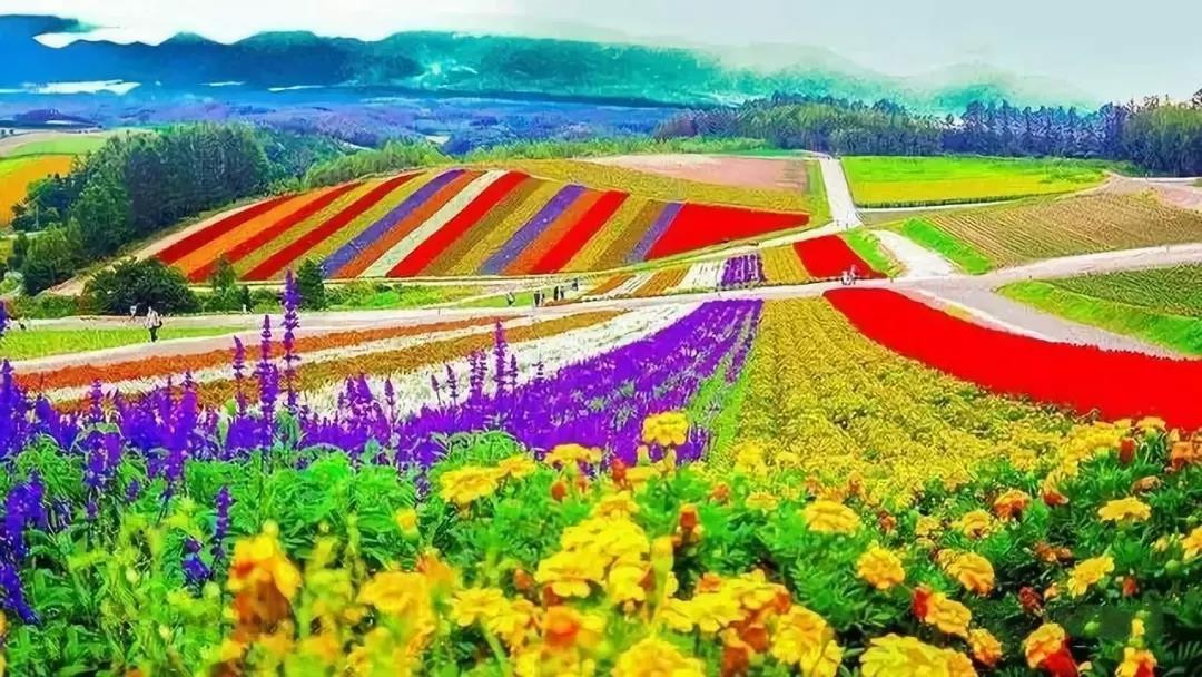 【農業(yè)雜談】日本 “一村一品” 農業(yè)發(fā)展模式