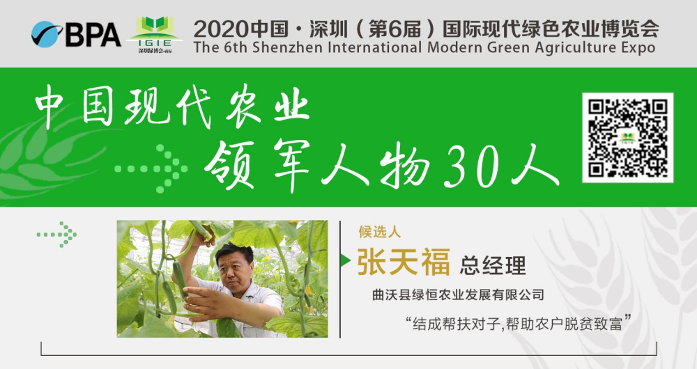 【現代農業(yè)領(lǐng)軍人物30人】張天?！怨ご俎r產(chǎn)業(yè)興，脫貧致富生態(tài)優(yōu)