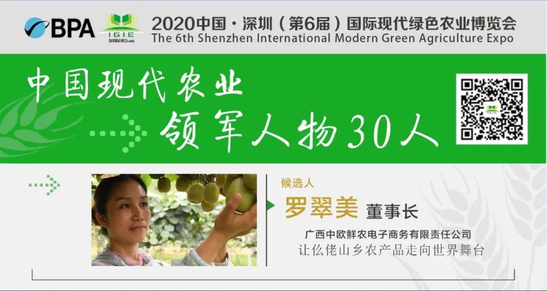 【現代農業(yè)領(lǐng)軍人物30人】羅翠美——農家女娃勇闖商海帶領(lǐng)鄉親電商致富