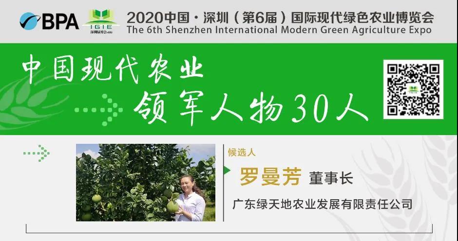 【現代農業(yè)領(lǐng)軍人物30人】羅曼芳——打造高端水果，成為地標，帶領(lǐng)農民創(chuàng  )收致富。