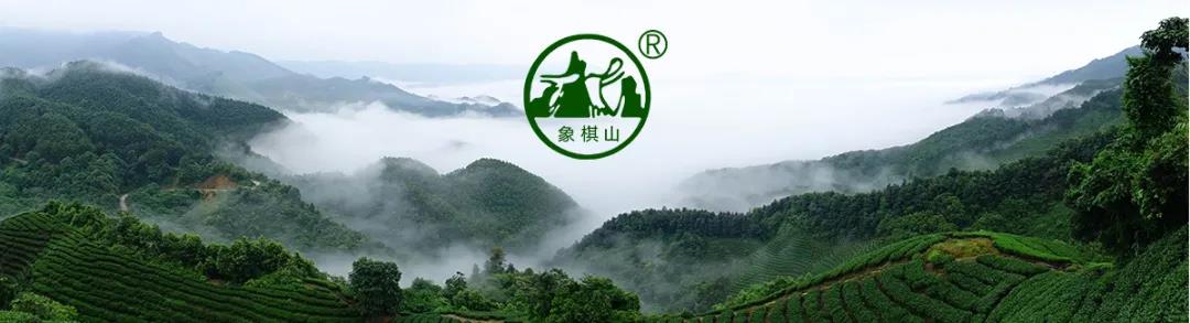 【每周優(yōu)品】原始生態(tài)，自然有機——象棋山有機茶