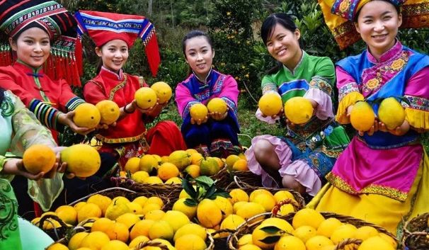 【每周優(yōu)品】一不小心就愛(ài)上了它，想不到你是這樣的德保臍橙?。?！