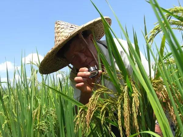 中國人14億，我是一員，我為祖國貢獻了什么？