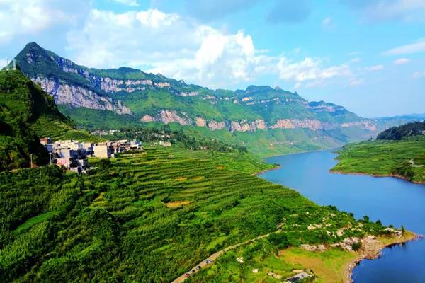 【綠博會(huì )動(dòng)態(tài)】貴州省畢節市“納雍縣”已簽約第七屆“深圳綠博會(huì )”納雍的這些特色農產(chǎn)品，你都知道嗎？