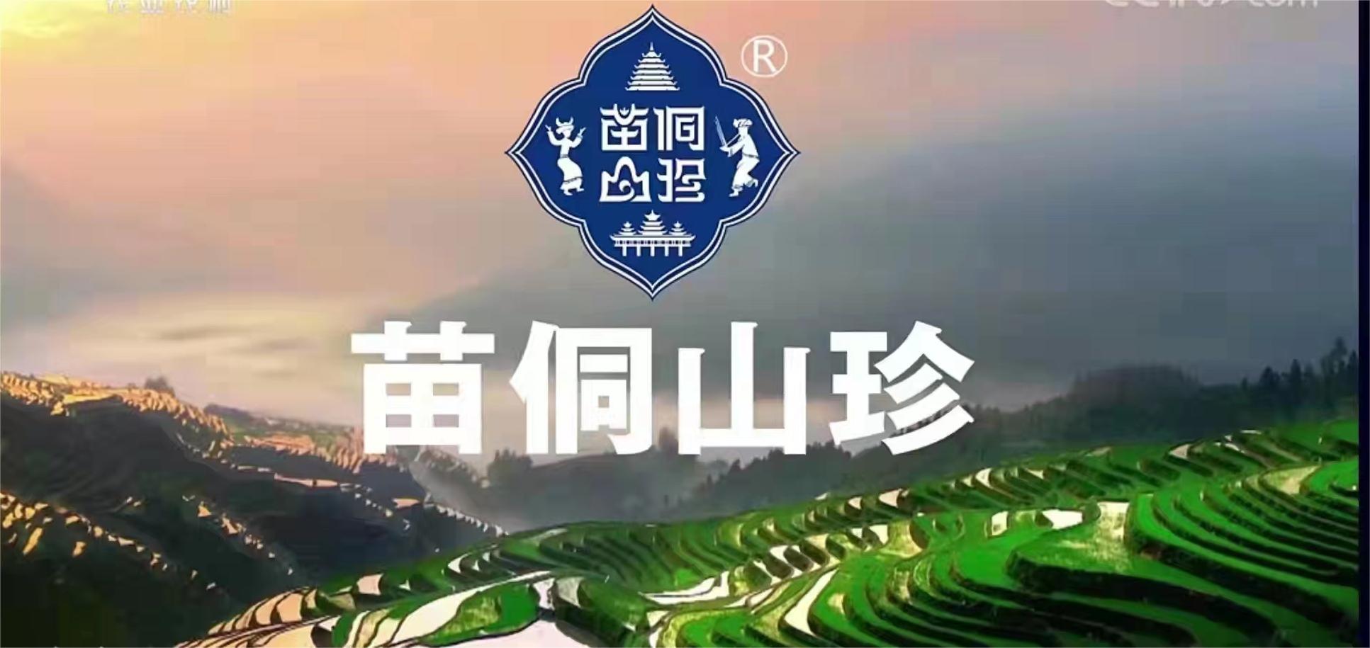 【每周優(yōu)品】走進(jìn)貴州茶山，了解貴州原生態(tài)綠茶！