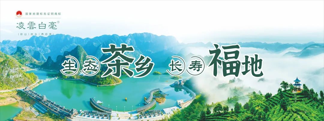 【展商風(fēng)采】壯志凌云！凌云縣農特產(chǎn)品深圳綠博會(huì )秋季展銷(xiāo)會(huì )即將盛大開(kāi)啟