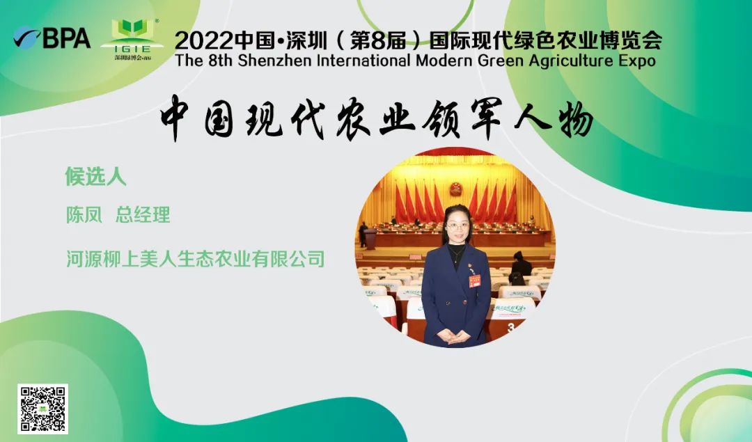 【現代農業(yè)領(lǐng)軍人物】陳鳳——帶動(dòng)村民種茶致富