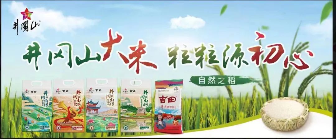 【每周優(yōu)品】在珍稀紅粘沙土中生長(cháng)，以山泉水灌溉，質(zhì)地雪白明亮，口感香甜松軟的井岡山大米