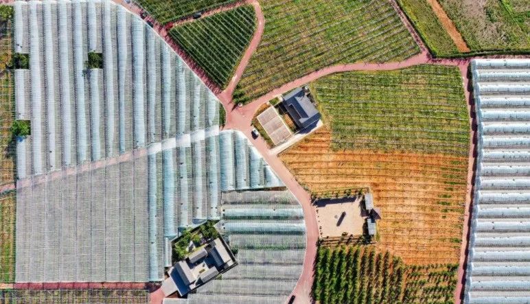 【農業(yè)資訊】2022年國家鄉村振興的9種發(fā)展模式