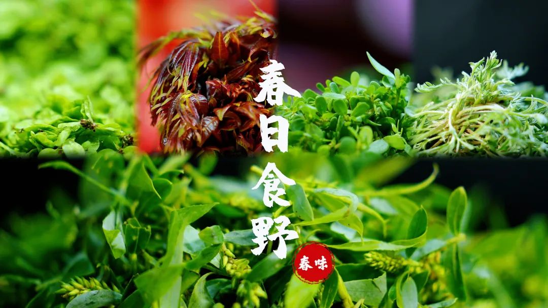 【綠色好心情】快來(lái)菜市場(chǎng)“吃”春天！