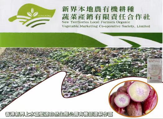 【每周優(yōu)品】香港本地紅薯——好吃不貴，營(yíng)養豐富！