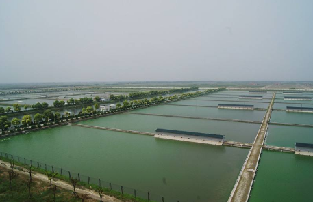 江蘇省特種水產(chǎn)養殖面積占比超76%，“蝦蟹”經(jīng)濟成靚麗名片