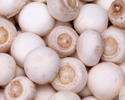 綠色食品雙孢菇的營(yíng)養價(jià)值和功效作用是什么