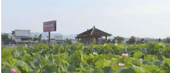 休閑農業(yè)與鄉村旅游游客 重慶上半年接待1.02億人次