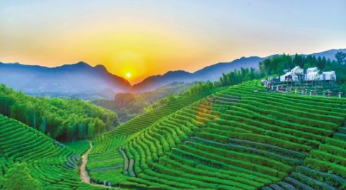 “農業(yè)+旅游”模式 建設富裕美麗鄉村