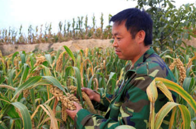 互聯(lián)網(wǎng)+農業(yè)眾籌：讓農產(chǎn)品出村 讓用戶(hù)發(fā)財
