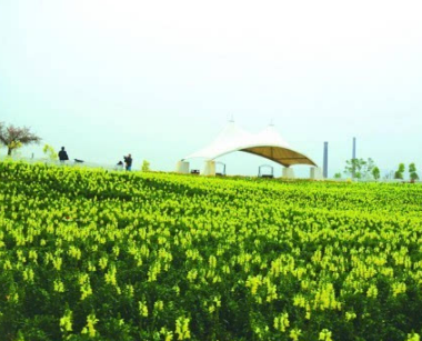 廣西：示范區成載體 現代農業(yè)領(lǐng)跑