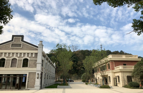 杭州西湖區：“農業(yè)+”生態(tài)建設理念 打造中國現代村鎮