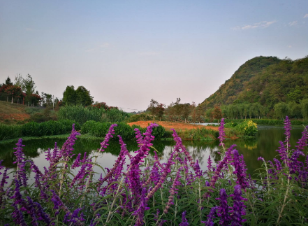 硯山：“旅游+扶貧”，好風(fēng)景帶來(lái)好“錢(qián)景”