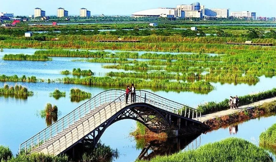 曹妃甸特色農業(yè)游 廣袤田園里覓得一份生態(tài)怡然