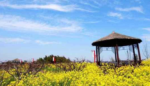 河北省發(fā)展休閑農業(yè) 建設美麗鄉村
