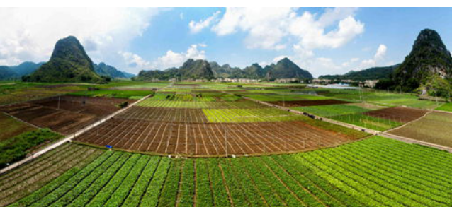 打造特色觀(guān)光農業(yè) 讓農民賺上“生態(tài)錢(qián)”