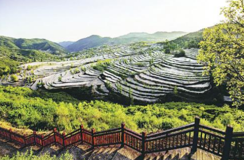 安康白河卡子鎮：農業(yè)旅游融合，傳承弘揚農耕文化