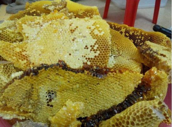 學(xué)會(huì )這幾點(diǎn)，就不怕你挑不到真蜂蜜!