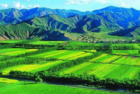懷化市大力發(fā)展現代農業(yè)