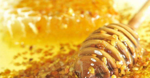 唐河縣：打造蜂產(chǎn)業(yè)特色小鎮