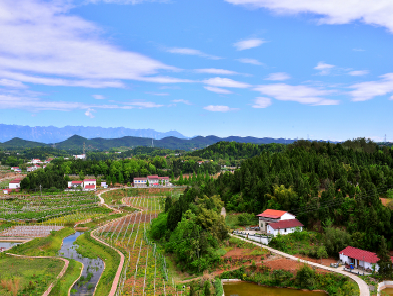 我國大力推進(jìn)休閑農業(yè)發(fā)展
