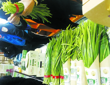 津冀特色農產(chǎn)品豐富首都菜籃子